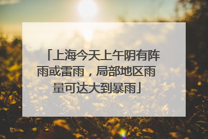 上海今天上午阴有阵雨或雷雨，局部地区雨量可达大到暴雨