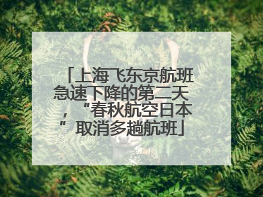 上海飞东京航班急速下降的第二天，“春秋航空日本”取消多趟航班
