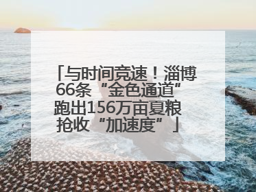 与时间竞速！淄博66条“金色通道”跑出156万亩夏粮抢收“加速度”