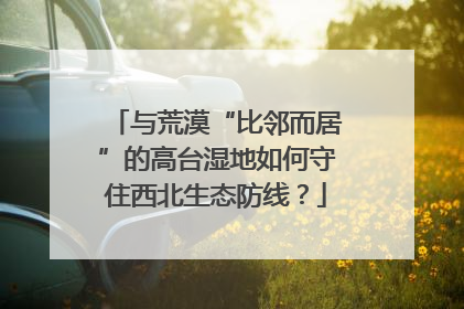 与荒漠“比邻而居”的高台湿地如何守住西北生态防线？