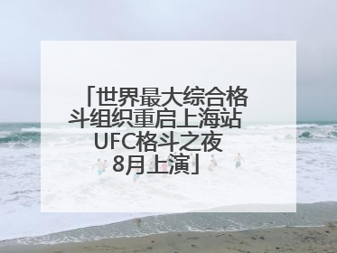 世界最大综合格斗组织重启上海站 UFC格斗之夜8月上演