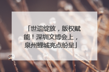 世遗绽放，版权赋能！深圳文博会上，泉州鲤城亮点纷呈