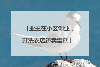 业主在小区创业，开洗衣店还卖雪糕