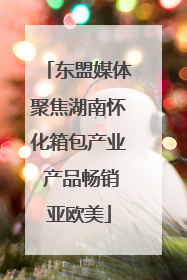 东盟媒体聚焦湖南怀化箱包产业 产品畅销亚欧美