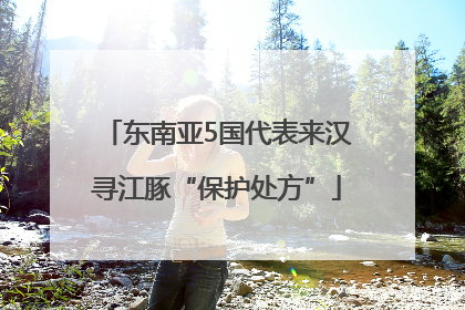 东南亚5国代表来汉寻江豚“保护处方”
