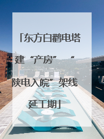 东方白鹳电塔建“产房” “陕电入皖”架线延工期