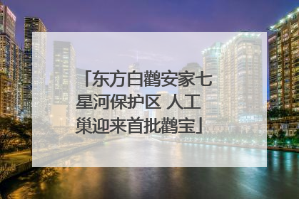 东方白鹳安家七星河保护区 人工巢迎来首批鹳宝