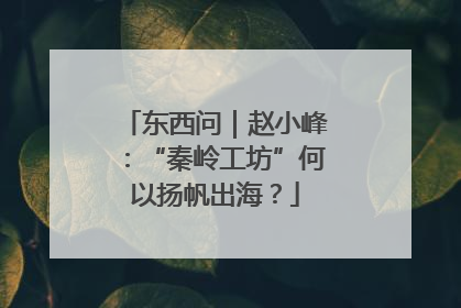 东西问｜赵小峰：“秦岭工坊”何以扬帆出海？