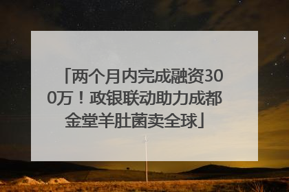 两个月内完成融资300万！政银联动助力成都金堂羊肚菌卖全球