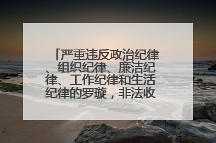 严重违反政治纪律、组织纪律、廉洁纪律、工作纪律和生活纪律的罗璇，非法收受他人巨额财物