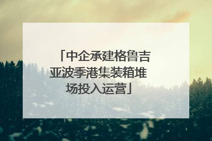 中企承建格鲁吉亚波季港集装箱堆场投入运营
