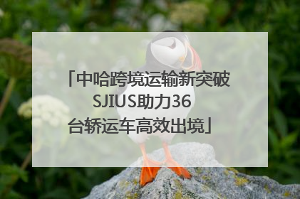中哈跨境运输新突破 SJIUS助力36台轿运车高效出境