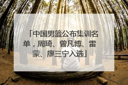 中国男篮公布集训名单，周琦、曾凡博、雷蒙、廖三宁入选