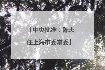 中央批准：陈杰任上海市委常委
