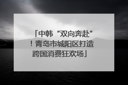 中韩“双向奔赴”！青岛市城阳区打造跨国消费狂欢场