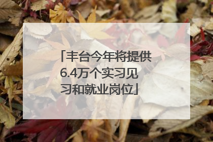 丰台今年将提供6.4万个实习见习和就业岗位