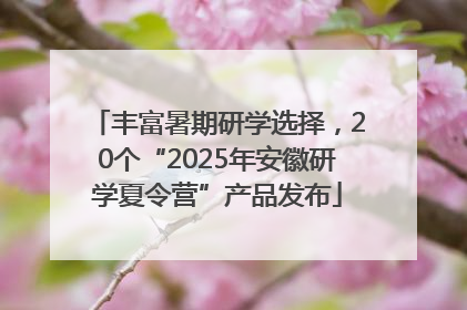 丰富暑期研学选择，20个“2025年安徽研学夏令营”产品发布