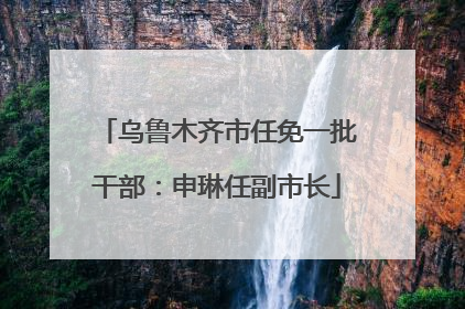乌鲁木齐市任免一批干部：申琳任副市长