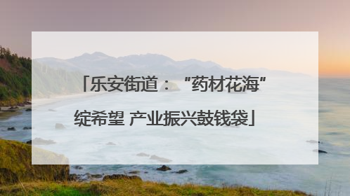 乐安街道：“药材花海”绽希望 产业振兴鼓钱袋