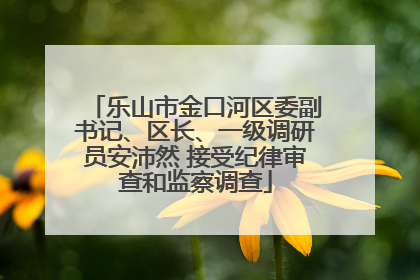 乐山市金口河区委副书记、区长、一级调研员安沛然 接受纪律审查和监察调查
