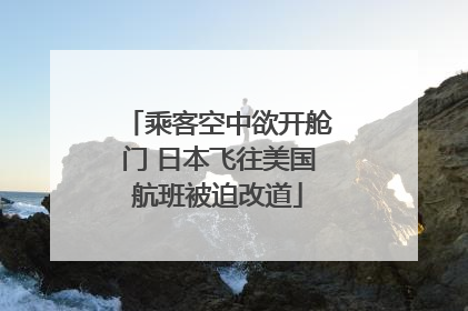 乘客空中欲开舱门 日本飞往美国航班被迫改道