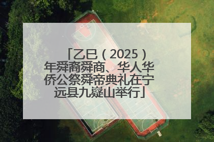 乙巳（2025）年舜裔舜商、华人华侨公祭舜帝典礼在宁远县九嶷山举行