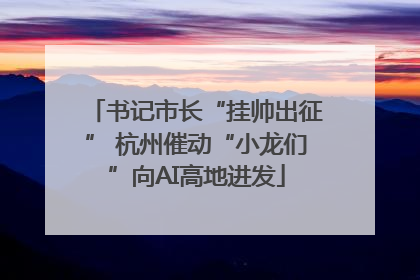 书记市长“挂帅出征” 杭州催动“小龙们”向AI高地进发