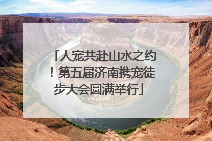 人宠共赴山水之约！第五届济南携宠徒步大会圆满举行
