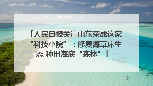 人民日报关注山东荣成这家“科技小院”：修复海草床生态 种出海底“森林”