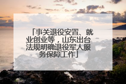 事关退役安置、就业创业等，山东出台法规明确退役军人服务保障工作