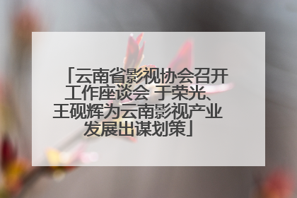 云南省影视协会召开工作座谈会 于荣光、王砚辉为云南影视产业发展出谋划策