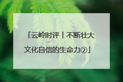 云岭时评丨不断壮大文化自信的生命力②