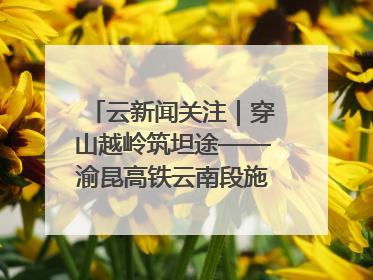 云新闻关注｜穿山越岭筑坦途——渝昆高铁云南段施工现场见闻