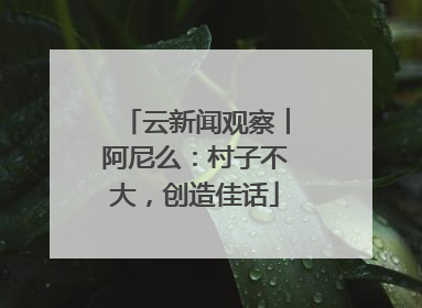 云新闻观察︱阿尼么：村子不大，创造佳话