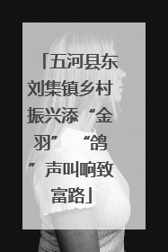 五河县东刘集镇乡村振兴添“金羽” “鸽”声叫响致富路