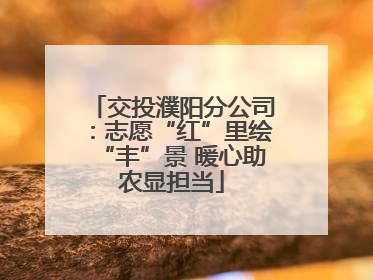 交投濮阳分公司：志愿“红”里绘“丰”景 暖心助农显担当