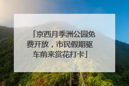 京西月季洲公园免费开放，市民假期驱车前来赏花打卡