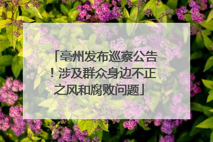 亳州发布巡察公告！涉及群众身边不正之风和腐败问题