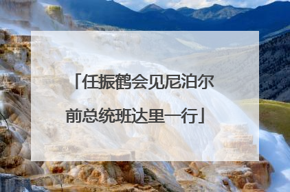 任振鹤会见尼泊尔前总统班达里一行