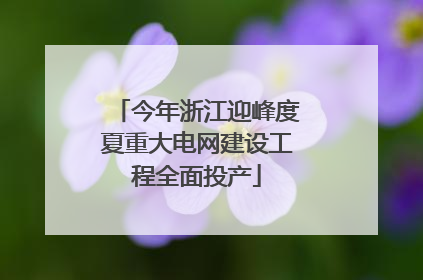 今年浙江迎峰度夏重大电网建设工程全面投产