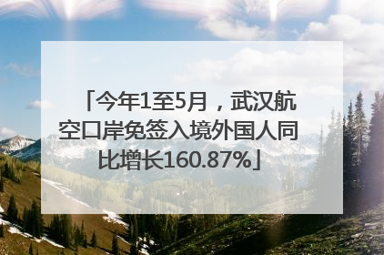 今年1至5月，武汉航空口岸免签入境外国人同比增长160.87%