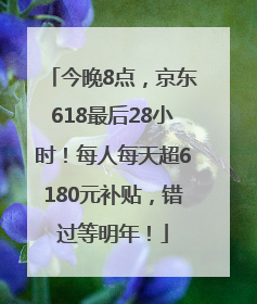 今晚8点，京东618最后28小时！每人每天超6180元补贴，错过等明年！