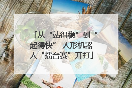 从“站得稳”到“起得快” 人形机器人“擂台赛”开打