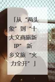 从“两头象”到“十大文商旅新IP” 新乡文旅“火力全开”