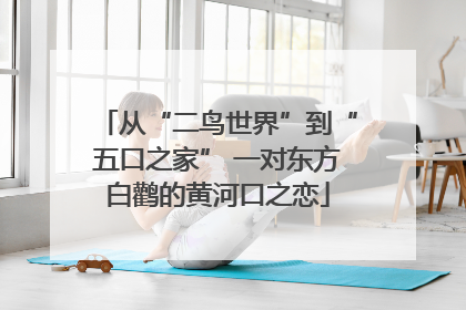 从“二鸟世界”到“五口之家” 一对东方白鹳的黄河口之恋