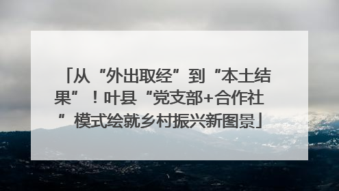 从“外出取经”到“本土结果”！叶县“党支部+合作社”模式绘就乡村振兴新图景