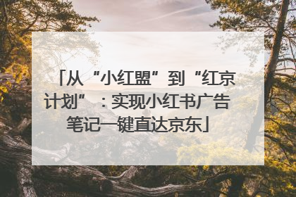 从“小红盟”到“红京计划”：实现小红书广告笔记一键直达京东