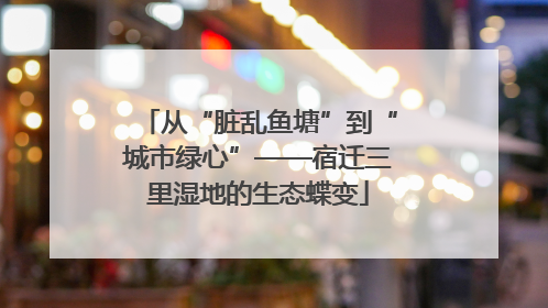 从“脏乱鱼塘”到“城市绿心”——宿迁三里湿地的生态蝶变