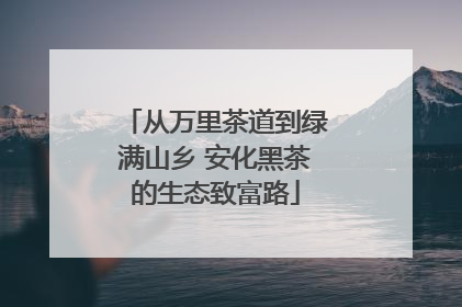 从万里茶道到绿满山乡 安化黑茶的生态致富路
