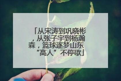 从宋涛到巩晓彬，从张子宇到杨瀚森，篮球逐梦山东“高人”不停歇